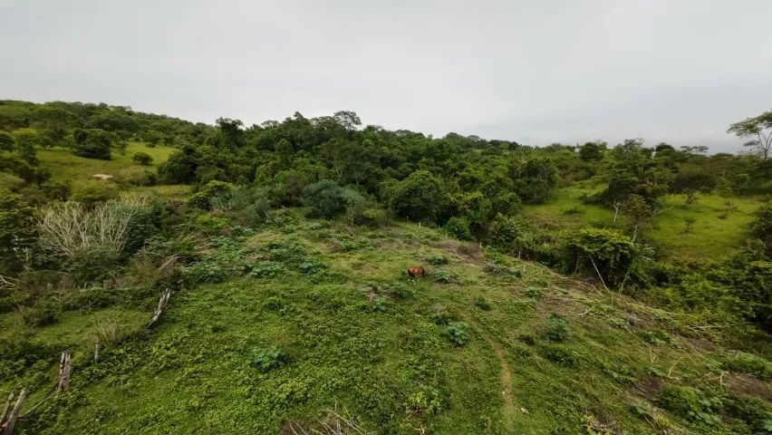 Fazenda à Venda - Oportunidade Rara! - Foto 5