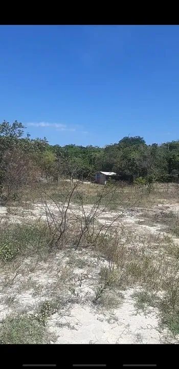 Terreno chacara guapo R$ 19.500 - Foto 4