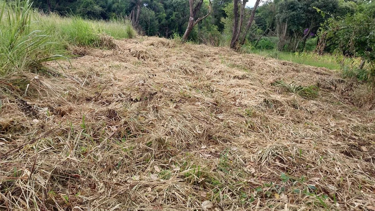 TERRENO JARDIM CANANÉIA 1.439,00 M2