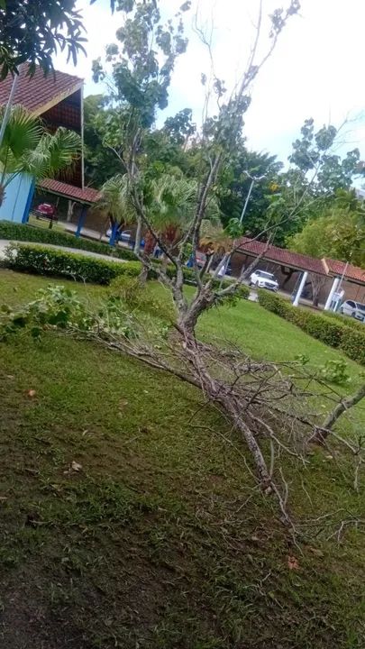 Jardineiro responsável roçando   - Foto 5