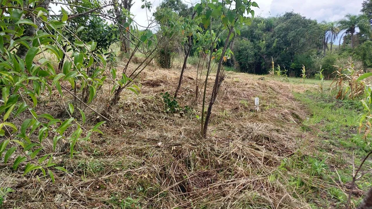 TERRENO JARDIM CANANÉIA 1.439,00 M2 - Foto 10