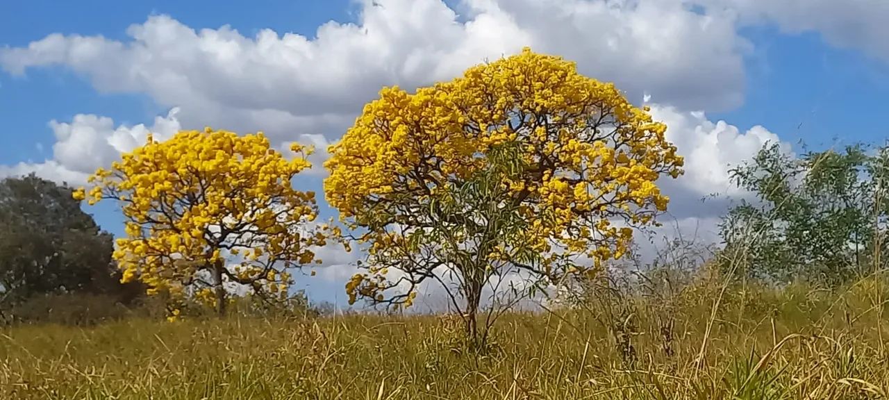 Foto - Bauru - Estância Balneária Águas Virtuosas