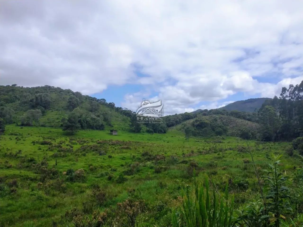 Terreno Rural para Venda em Angelina, TERCEIRA LINHA