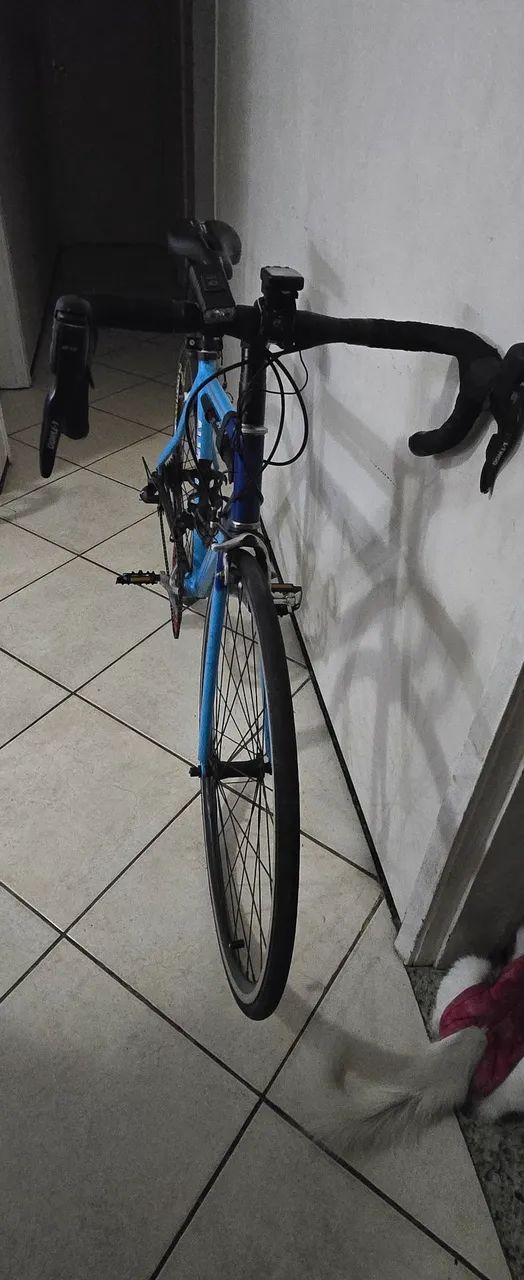 Bike speed 