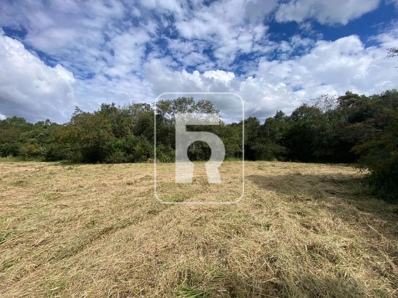 Chácara à venda, Centro - Queluzito/MG - Foto 4