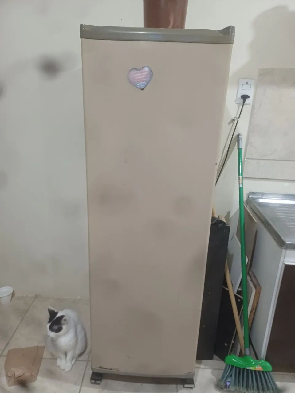Vendo geladeira e tanquinho de roupa - Foto 2