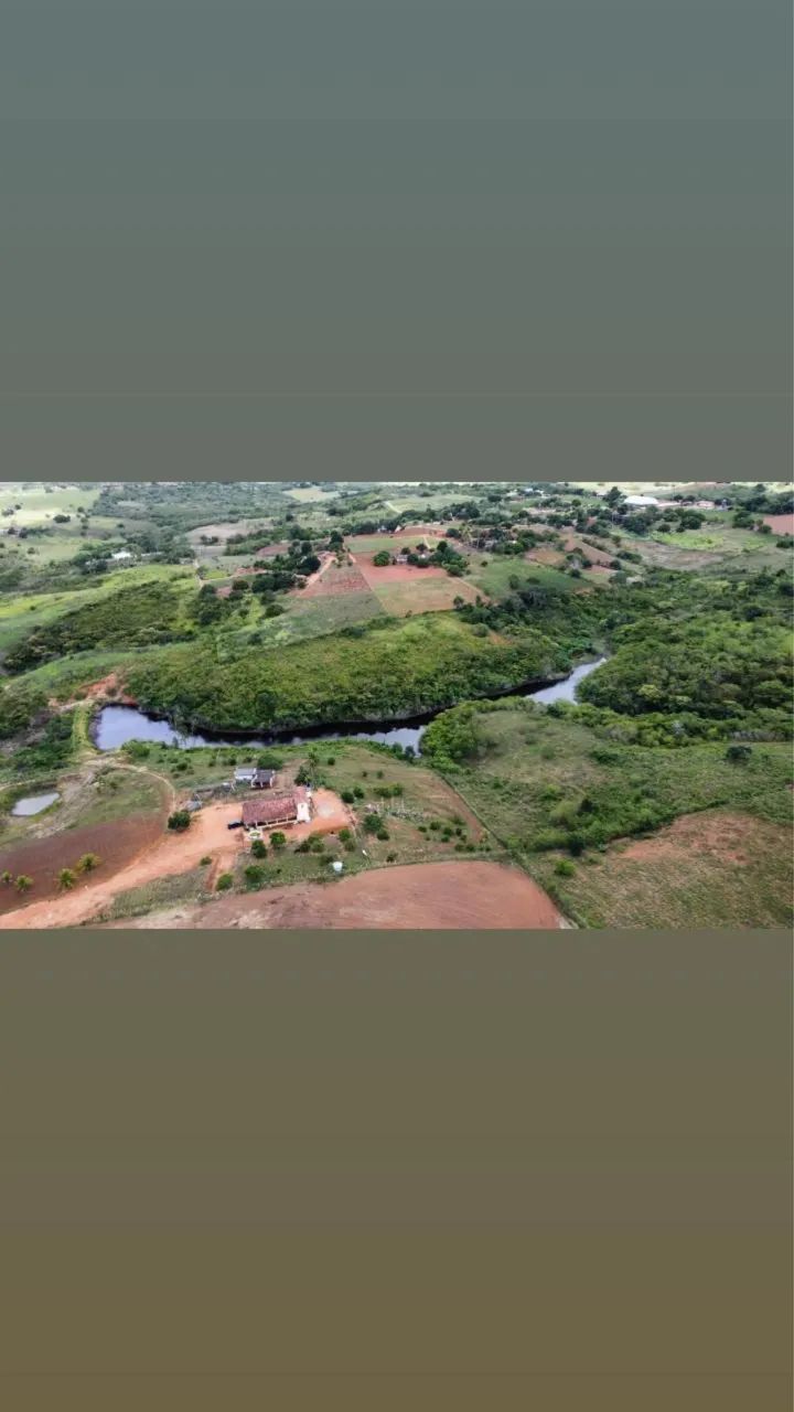 Fazenda 18 hectares *97)em feira nova Pernambuco  - Foto 4