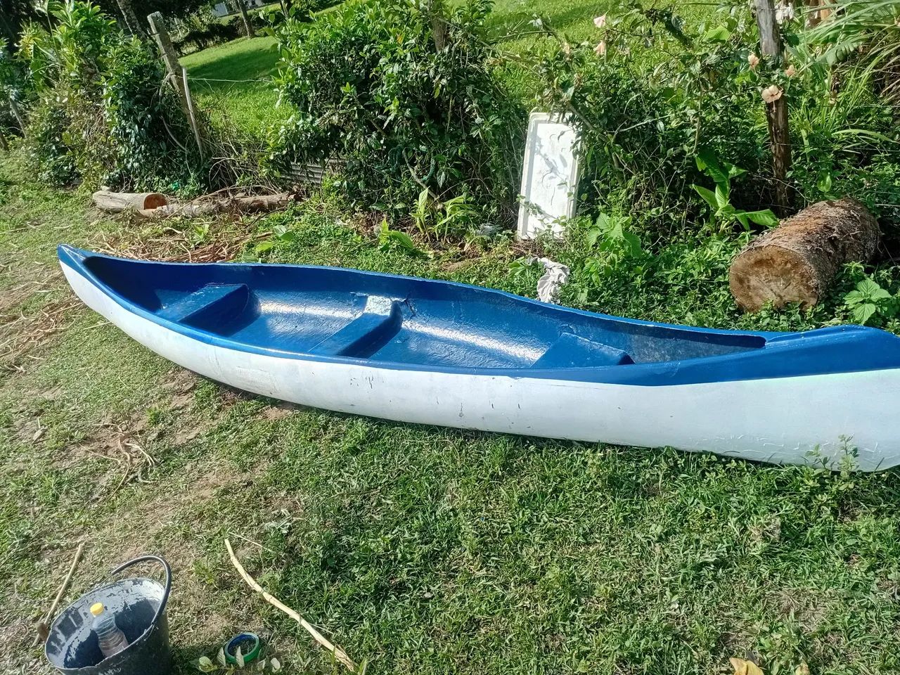 Canoa canadense 