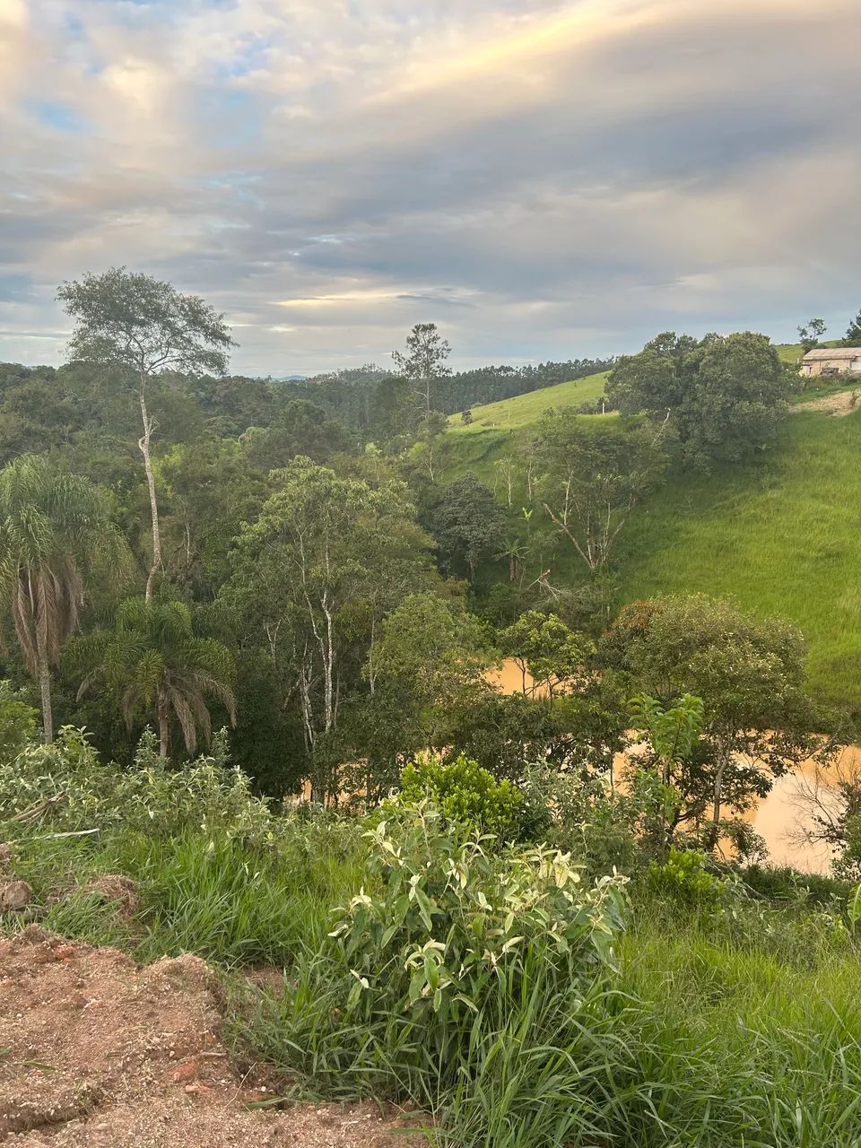 Foto - Arujá - Pirituba