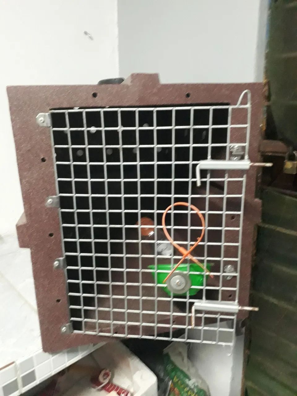 Caixa de transporte para cães e gatos  - Foto 2