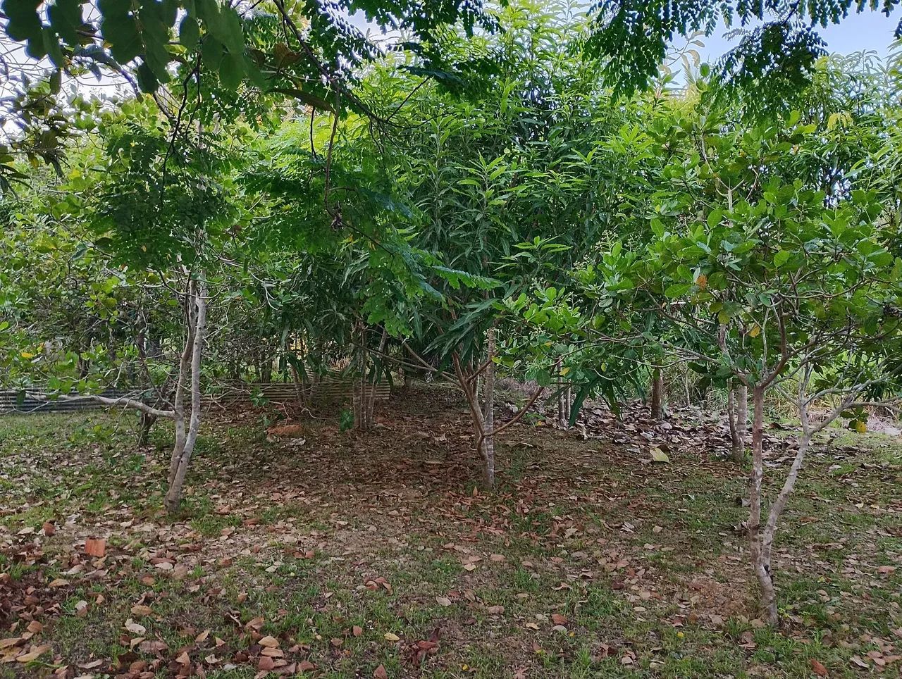 CHÁCARA PERTO DA CIDADE  - Foto 3
