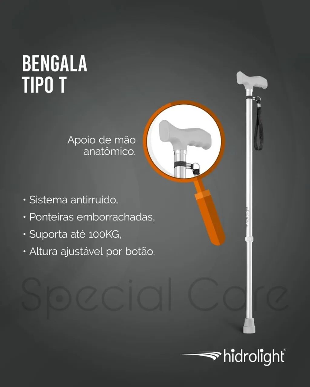 Begaka tipo t