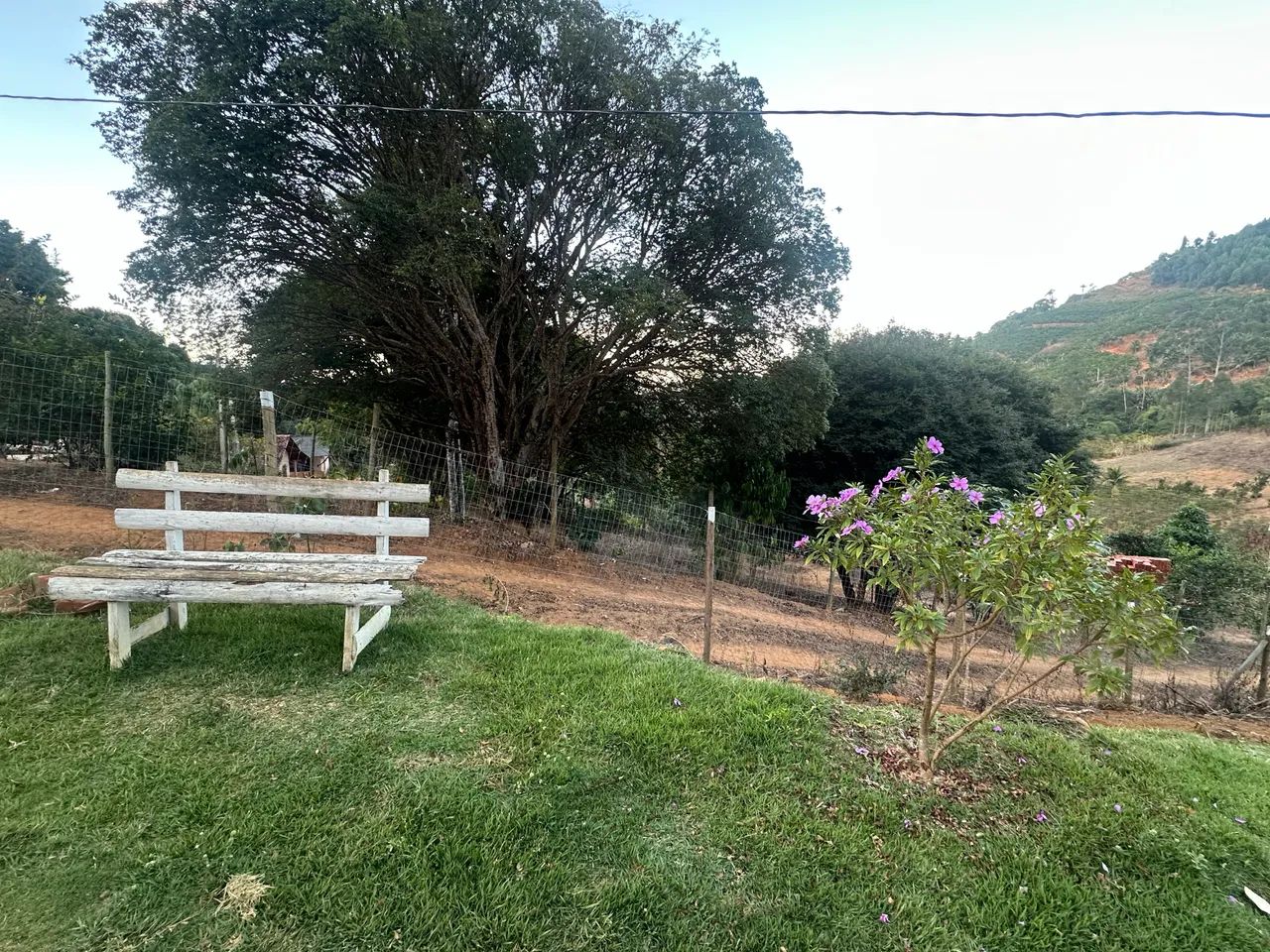 Vendo chácara em santa Teresa Es  - Foto 4