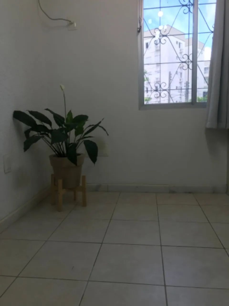 Sala para alugar Itacorubi - Foto 5