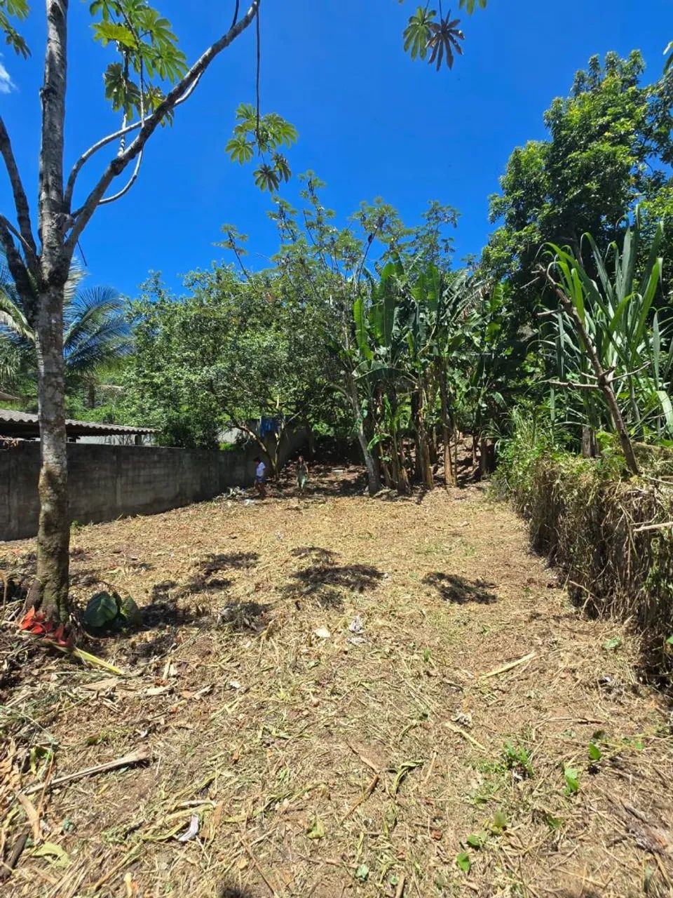 Foto - Angra Dos Reis - 