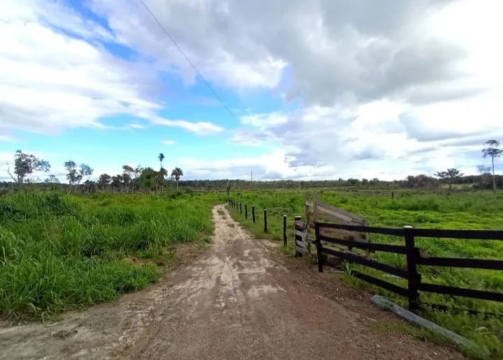 Sítio e fazendas em Roraima  - Foto 2