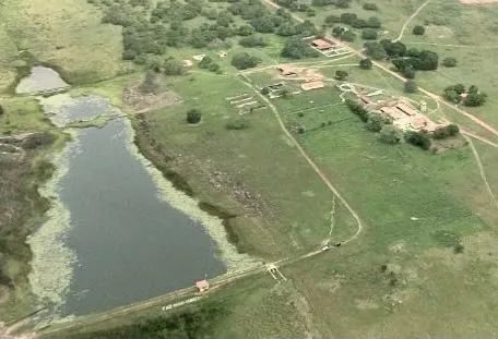 Fazenda | Venda | 713 Hectares - Foto 3