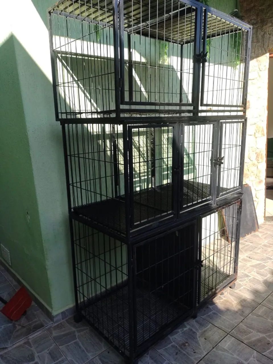 Canil Gaiola - Foto 3