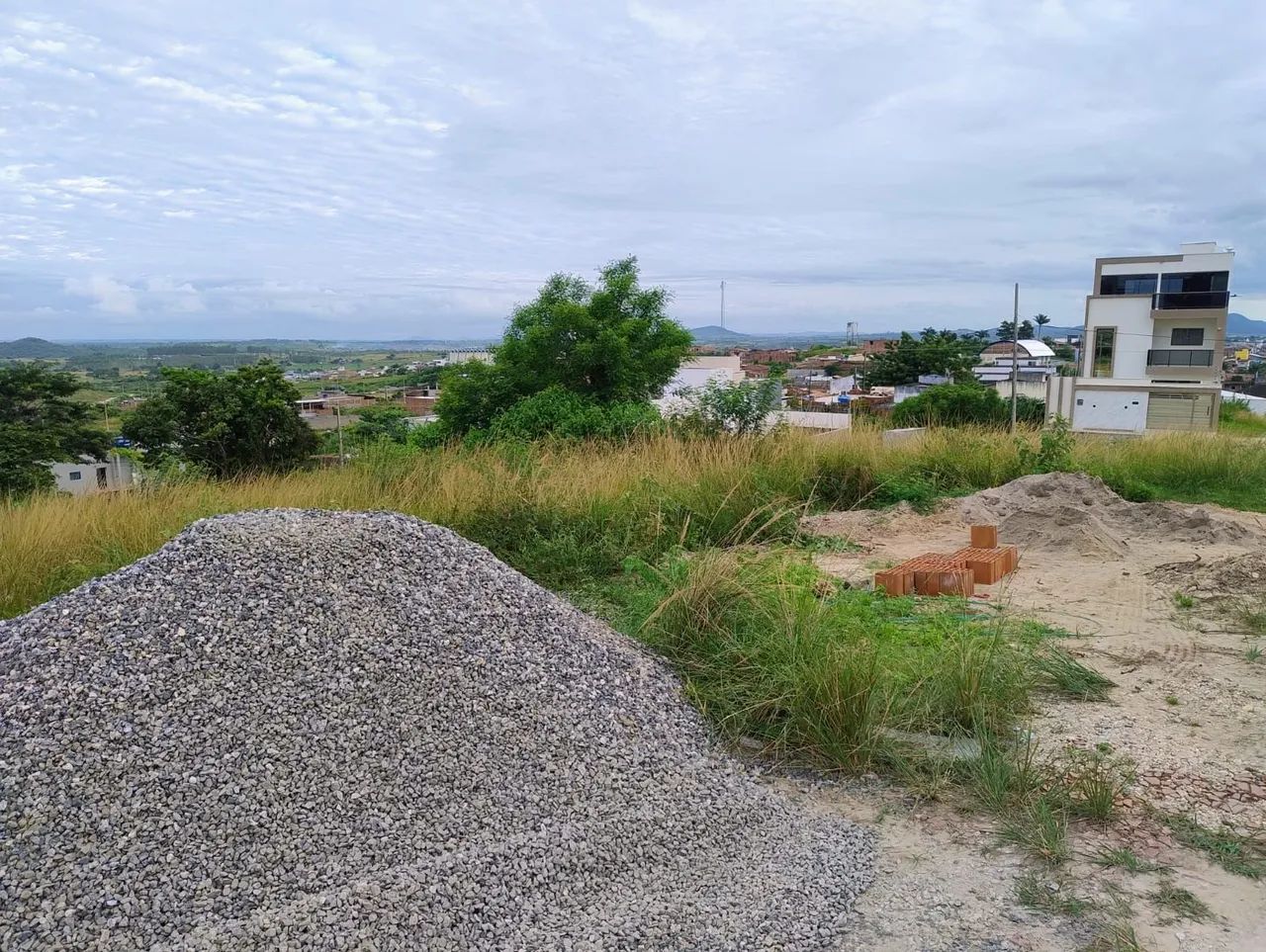 Terreno Montadas oliveiras II