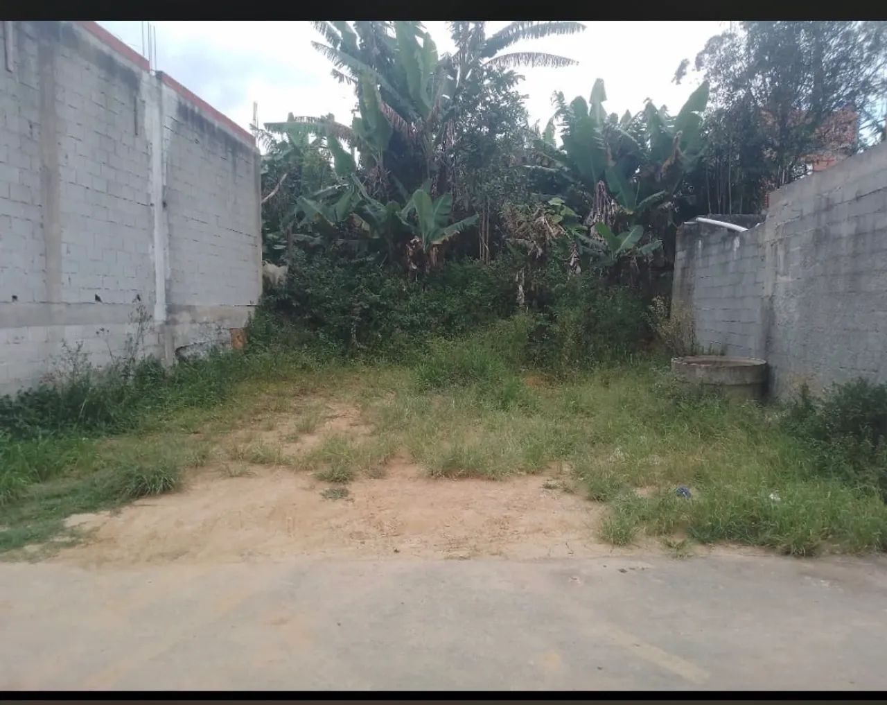 Foto - São Paulo - Jardim Papai Noel