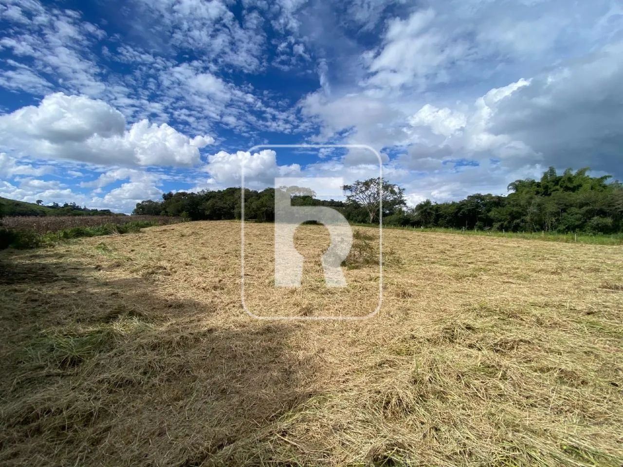 Chácara à venda, Centro - Queluzito/MG - Foto 2