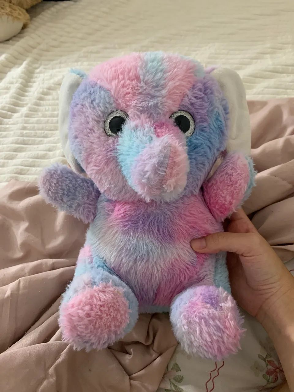 Urso elefante 
