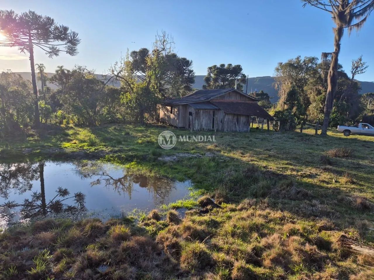 TERRENO RANCHO QUEIMADO 100 HECTARES COM 8MIL PINUS - Foto 2
