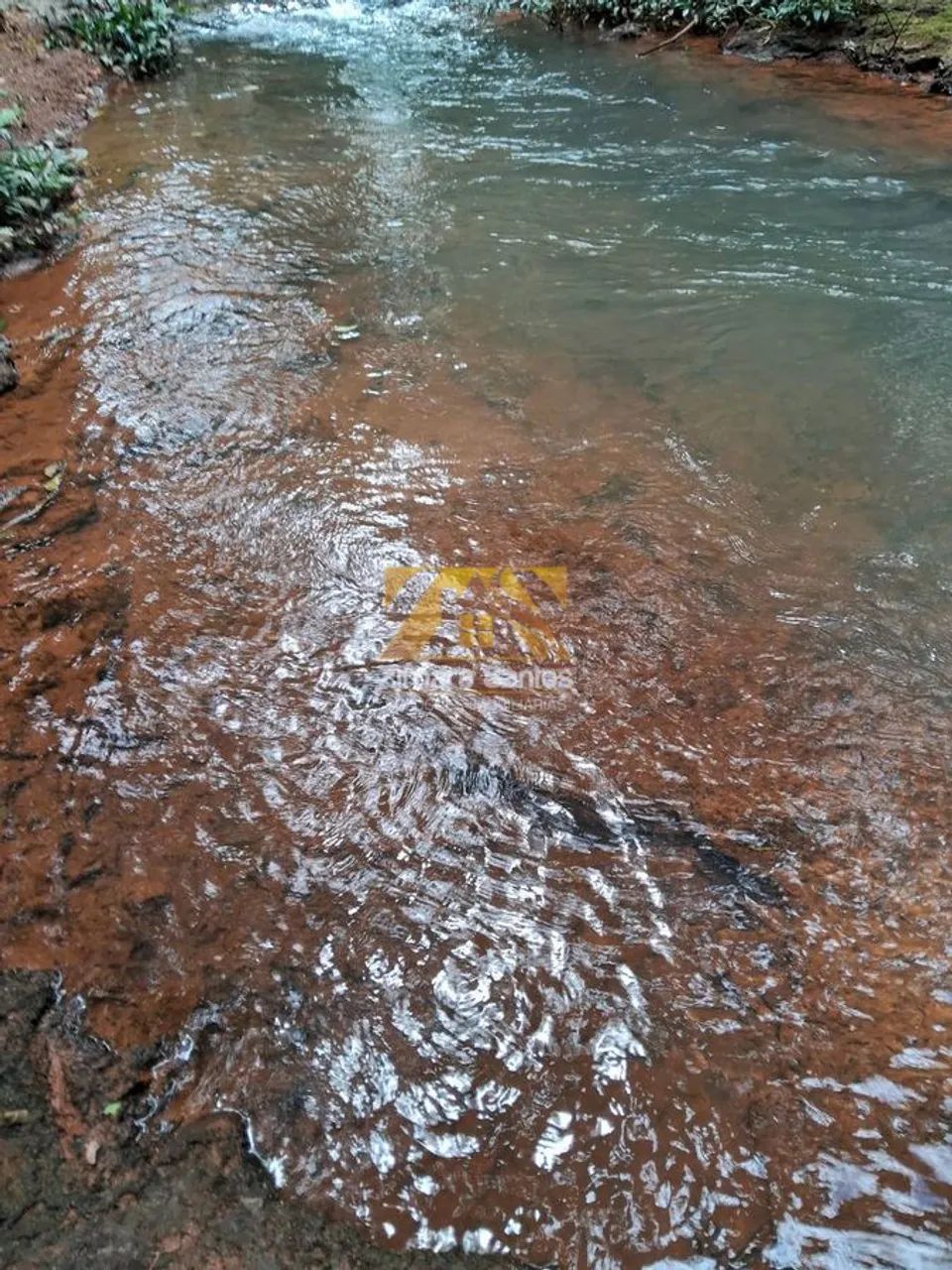 Fazenda com 1 Quarto à Venda - Aparecida do Rio Negro - Foto 5