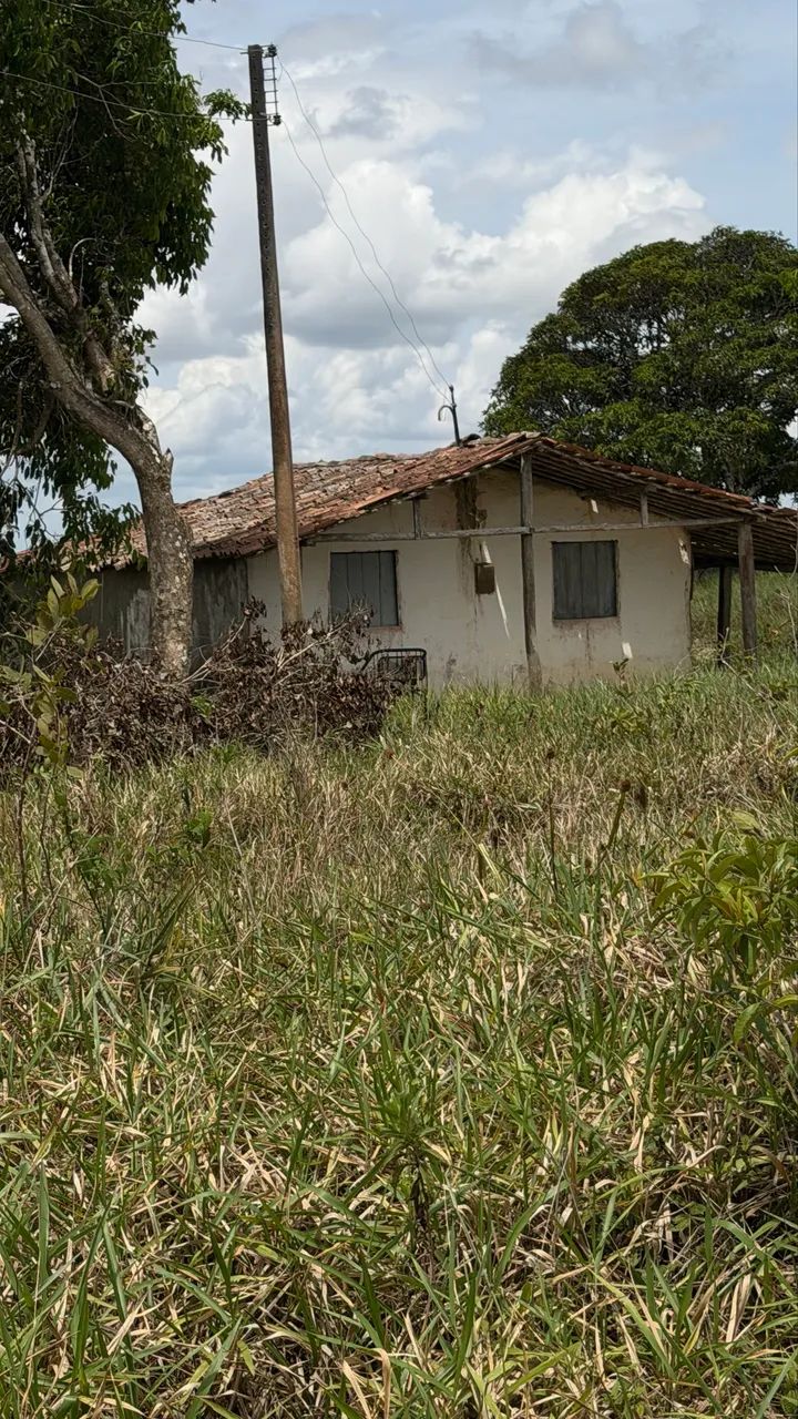 ? 2,9 hectares  aproximadamente 3 hectares - Foto 3