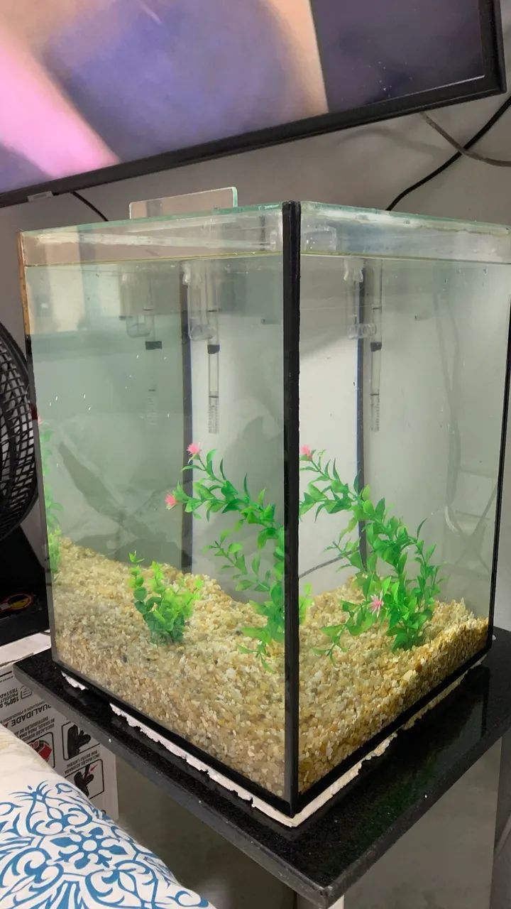 Vendo Aquario cubo com tampa - Foto 2