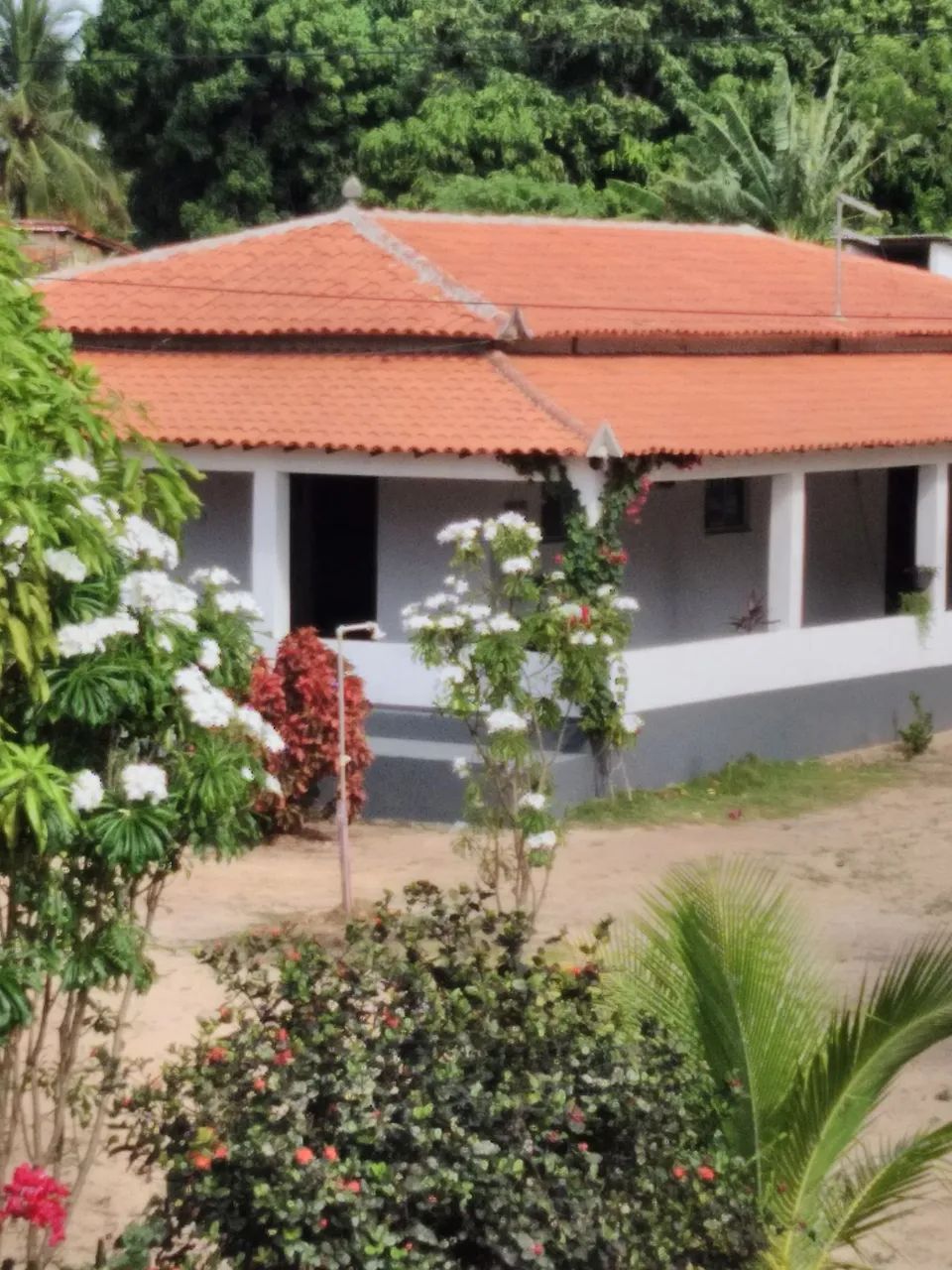 Vende chácara em Cascavel ceará . - Foto 2