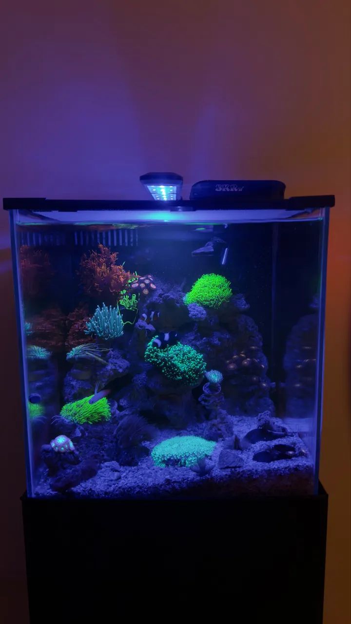 Luminária Nano Light - Ocean tech - Foto 3