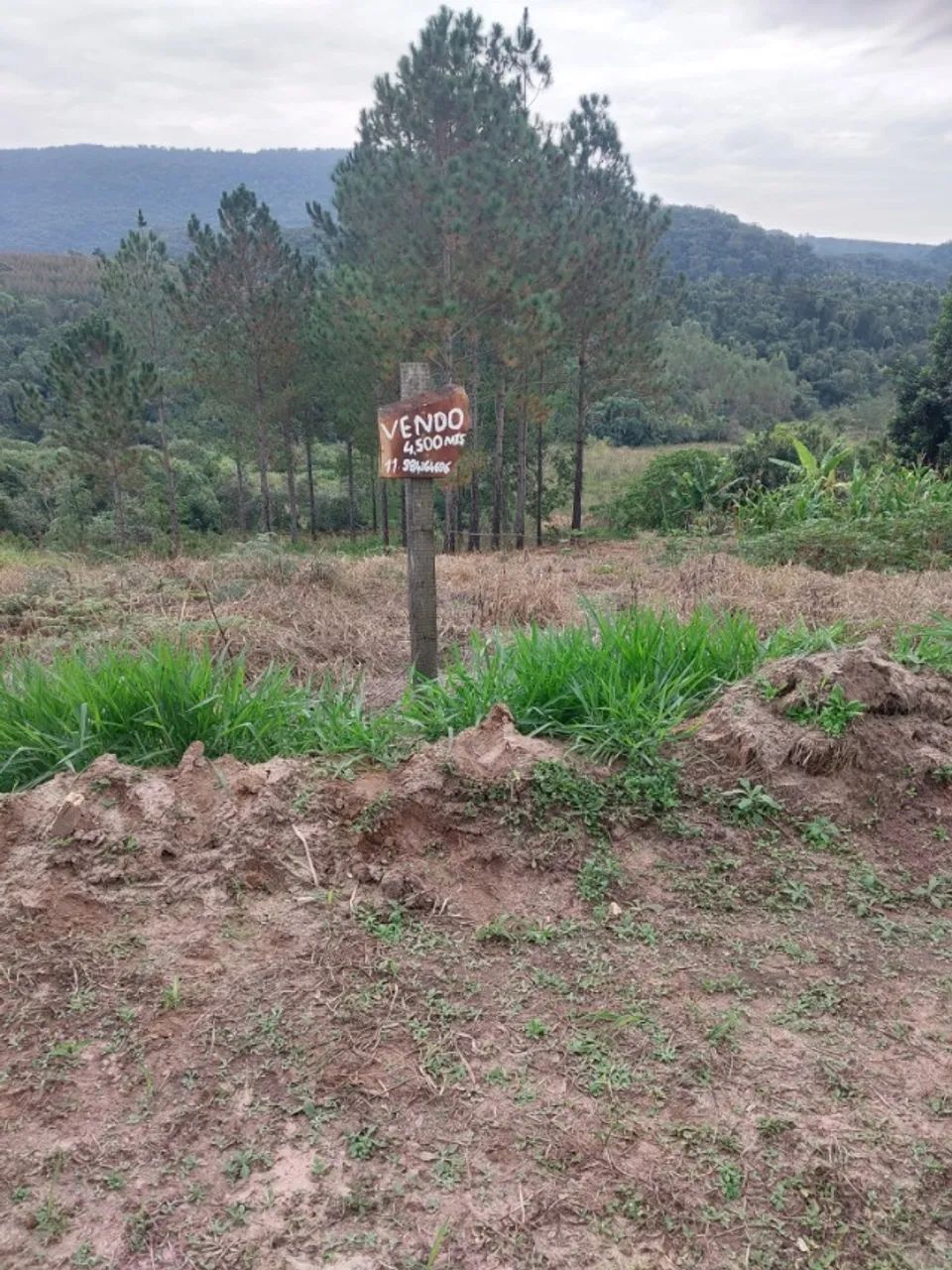 Otimo terreno de 4.500m2 em Bofete - Foto 2