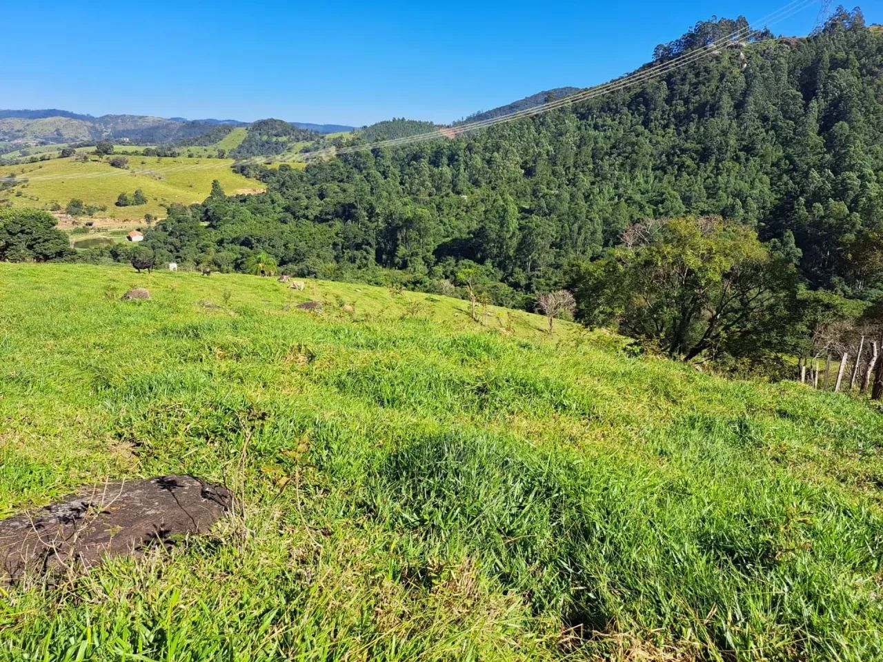 Sítio Estância Climática de Morungaba/SP/BR - Foto 5