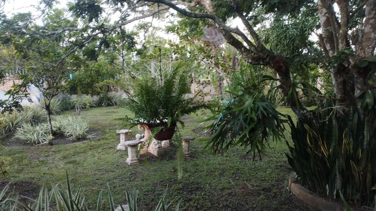 Vendo Sítio no Povoado Aningas São Cristóvão  - Foto 2