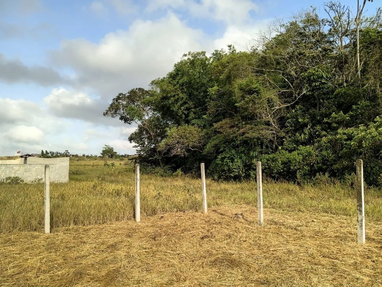 Lote em Salgado - SE - Foto 3