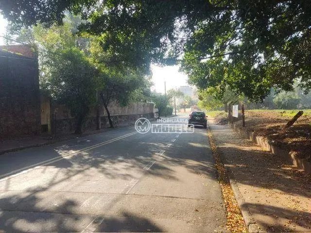 Terreno à venda, 3870 m² por R$ 1.550.000 - Dois Córregos - Piracicaba/SP - Foto 4