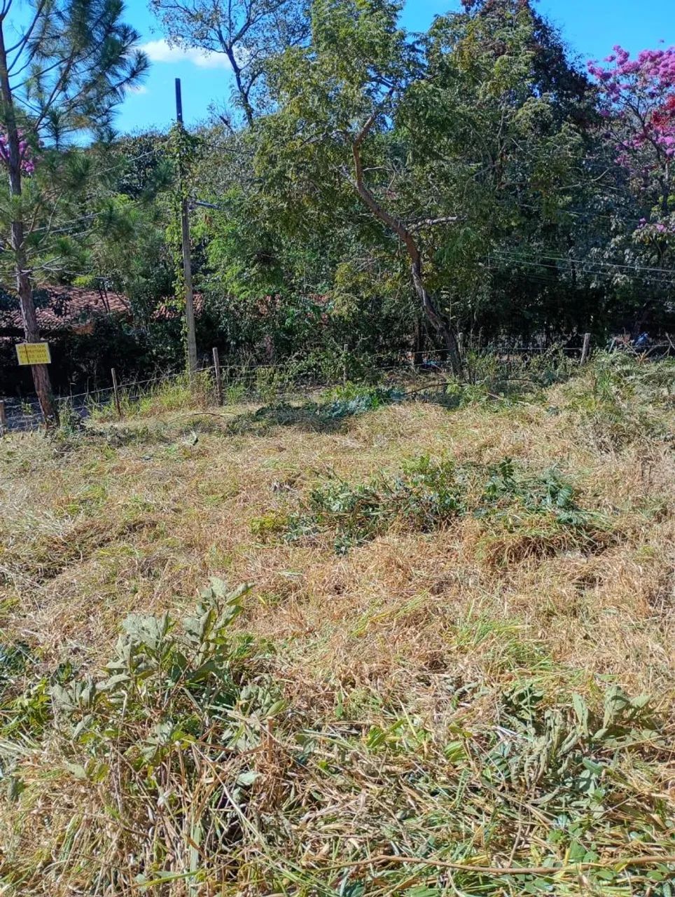 Lote em São Joaquim de Bicas - Foto 4