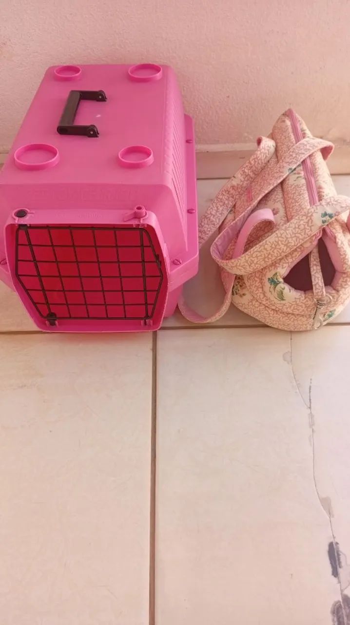 Objetos para cachorro 