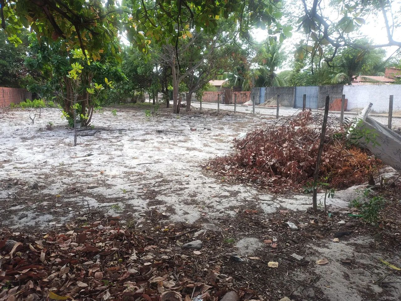 Terreno próximo a taiba 40x20  - Foto 3