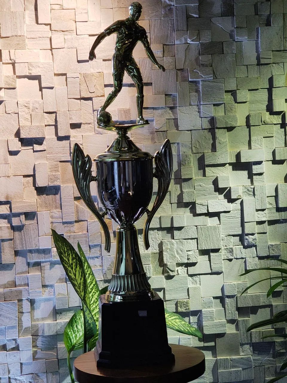 Troféus - Foto 5