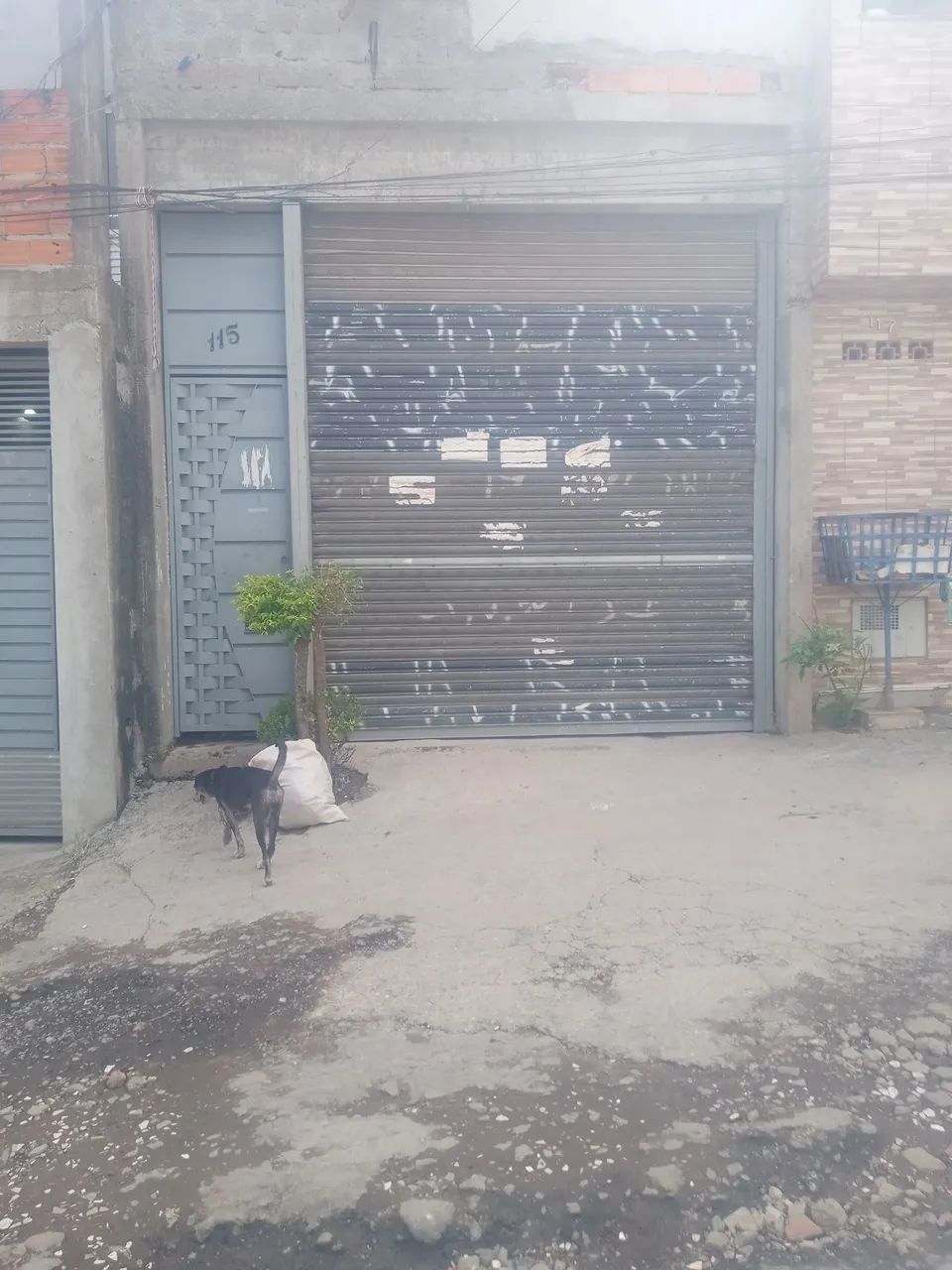 Foto - São Paulo - Parque Novo Mundo