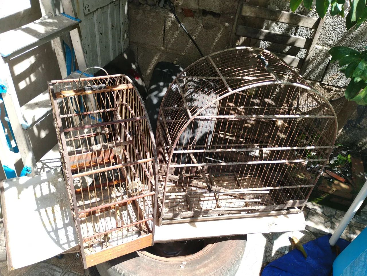 Gaiolas para passarinho  - Foto 3