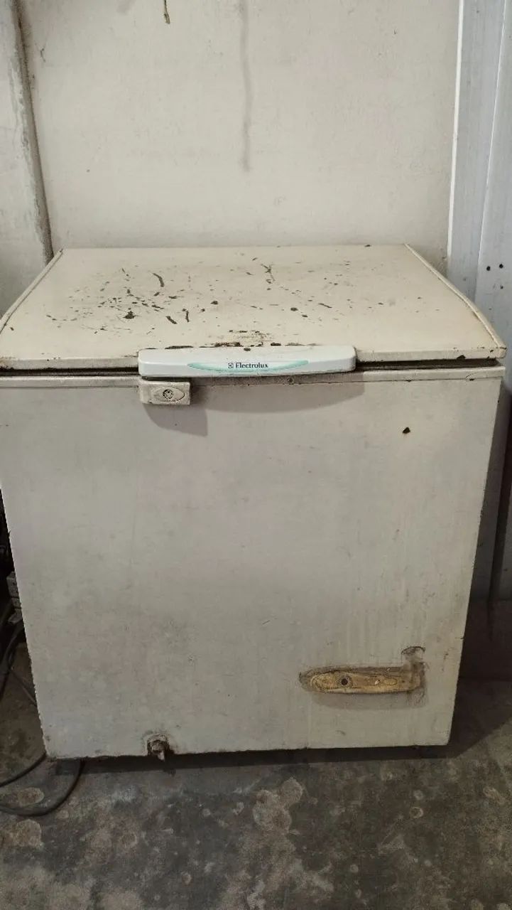 Freezer Electrolux 