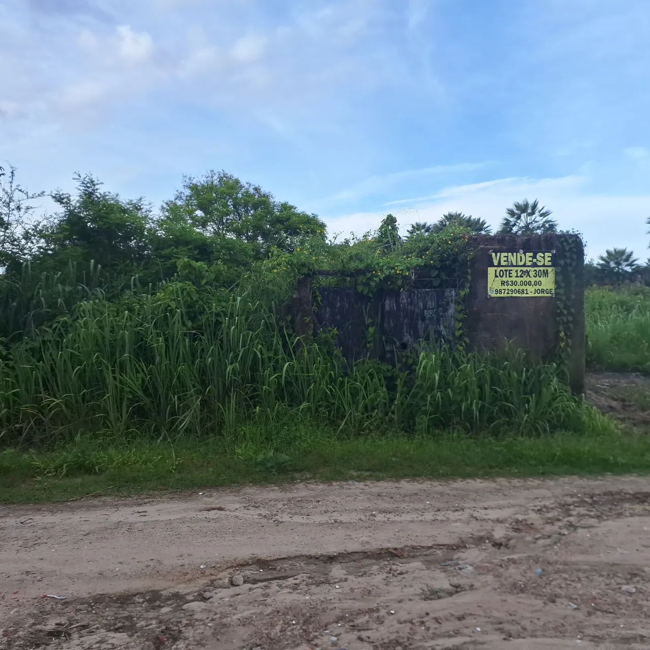 Foto - Fortaleza - Planalto Ayrton Senna