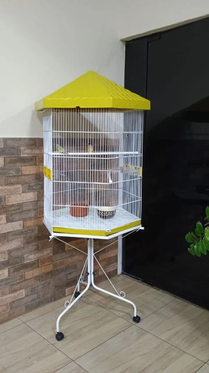 Gaiola!