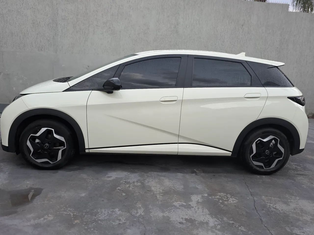 BYD Dolphin EV (Elétrico) 2024 - Foto 2