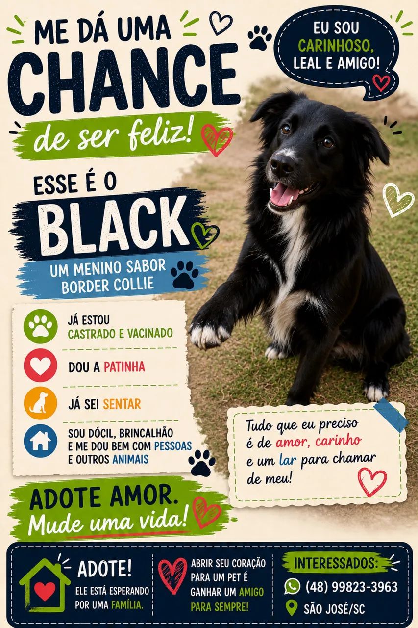 Adoção - Foto 2