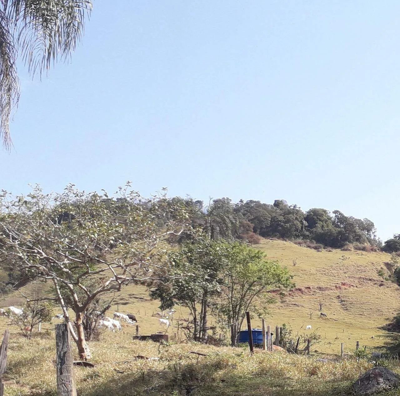 Sítio à Venda - Bairro Boa Vereda, Amparo - 367m2 - 3 Quartos - Foto 4