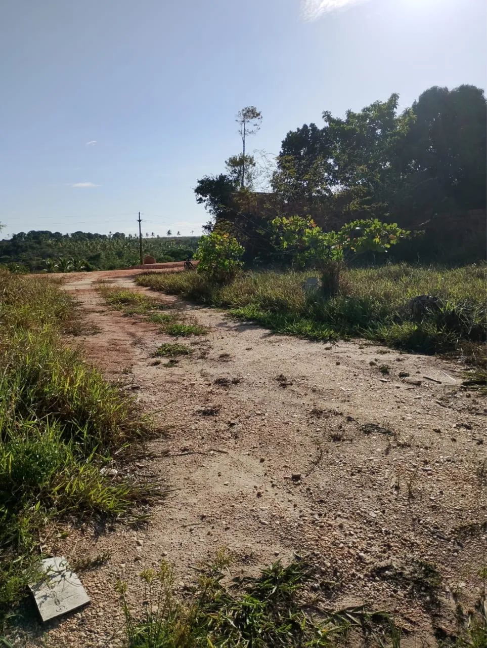 Vendo Terreno para Chácara  - Foto 3